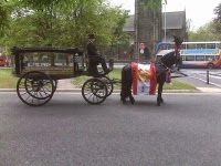 Horse drawn Carriage Hire   Disley 1084509 Image 4
